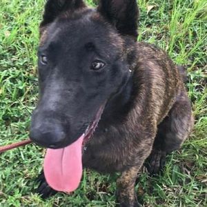 Meet your Posher, Maura